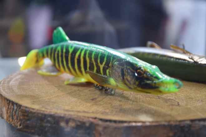 亚国际渔具狩猎及户外用品展览会澳门新葡京app2026罗马尼(图3)