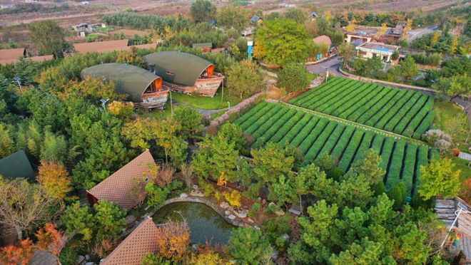 房难求！日照这里太火爆了！新葡京1800余家！旺季一(图1)